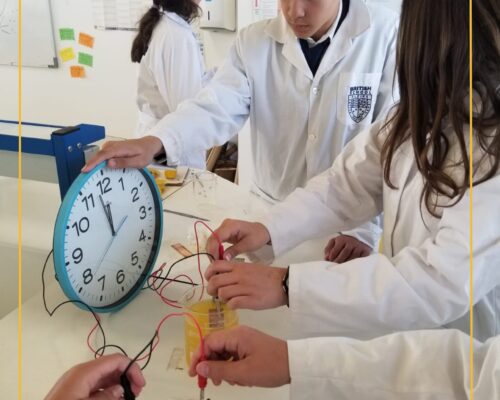 Year 9 students build a battery using juice and metals